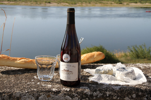 Vidange Fosse Septique Taverny